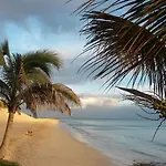 Palm Garden Morro Jable
