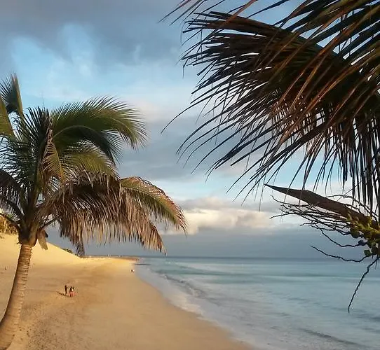 Palm Garden Morro Jable (Fuerteventura)