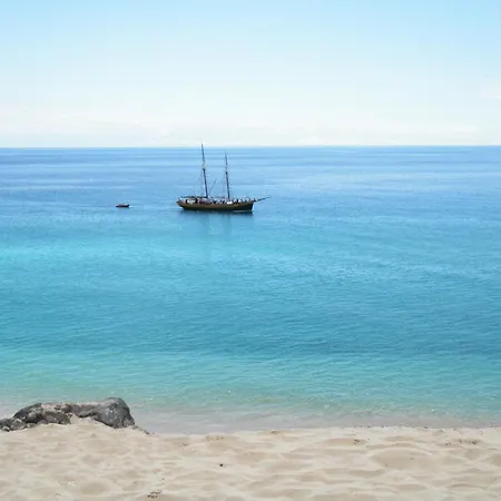 Apartment Palm Garden