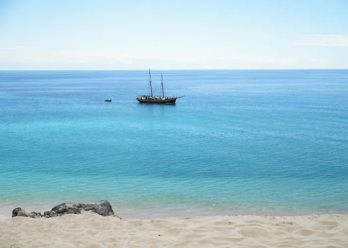 Apartment Palm Garden