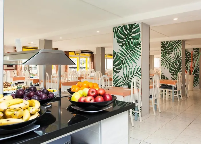 Palm Garden Apartment