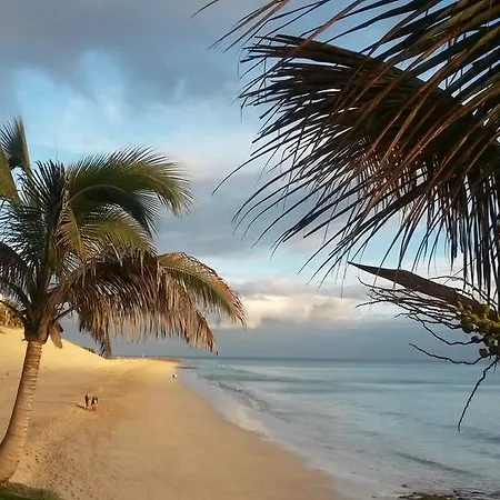 Palm Garden Morro Jable (Fuerteventura)