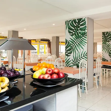 Palm Garden Lejlighed